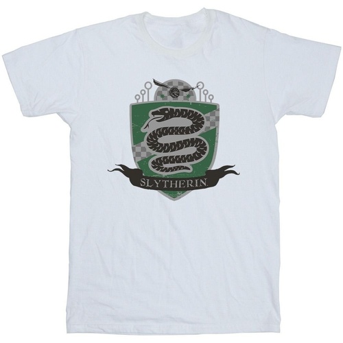 Vêtements Homme T-shirts manches longues Harry Potter Slytherin Chest Badge Blanc
