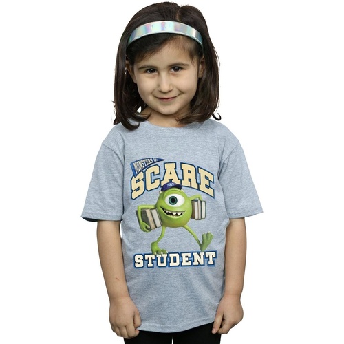 Vêtements Fille T-shirts manches longues Disney Monsters University Scare Student Gris