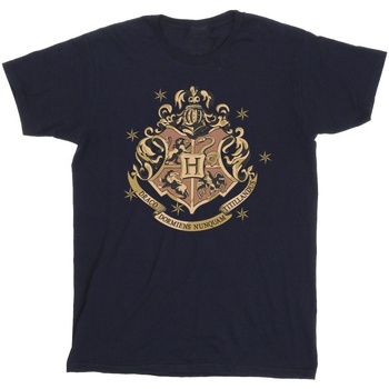 Vêtements Homme T-shirts manches longues Harry Potter Gold Hogwart Crest Bleu