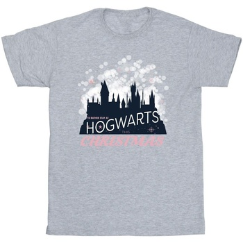 Vêtements Homme T-shirts manches longues Harry Potter Hogwarts Christmas Gris