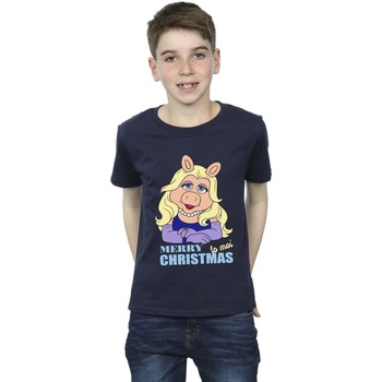 Vêtements Garçon T-shirts manches courtes Disney Muppets Miss Piggy Queen of Holidays Bleu