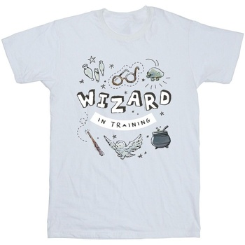 Vêtements Homme T-shirts manches longues Harry Potter Wizard In Training Blanc
