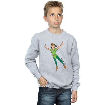 Vêtements Garçon Sweats Disney Peter Pan Classic Flying Peter Gris