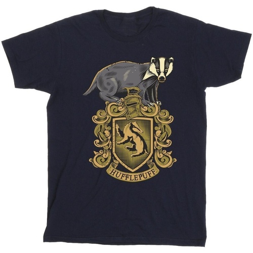 Vêtements Homme T-shirts manches longues Harry Potter Hufflepuff Sketch Crest Bleu