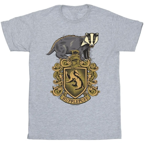 Vêtements Homme T-shirts manches longues Harry Potter Hufflepuff Sketch Crest Gris