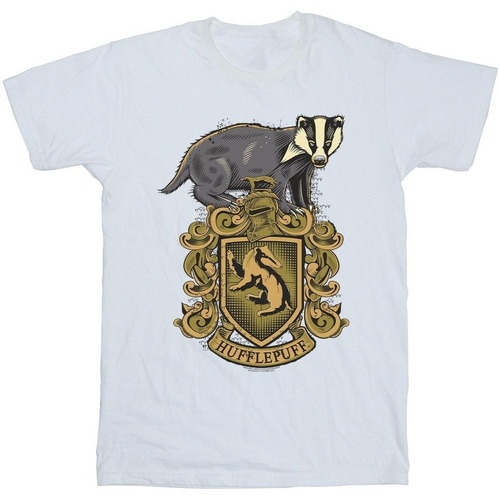 Vêtements Homme T-shirts manches longues Harry Potter Hufflepuff Sketch Crest Blanc