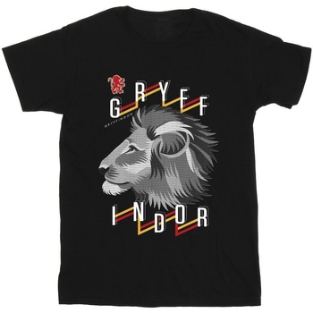 Vêtements Homme T-shirts manches longues Harry Potter Gryffindor Lion Icon Noir