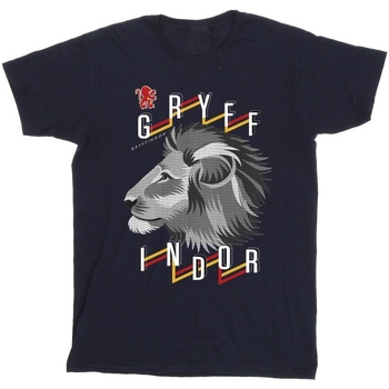 Vêtements Homme T-shirts manches longues Harry Potter Gryffindor Lion Icon Bleu