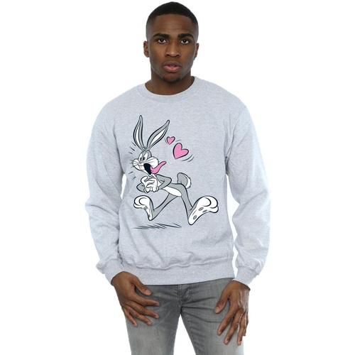 Vêtements Homme Sweats Dessins Animés Bugs Bunny In Love Gris