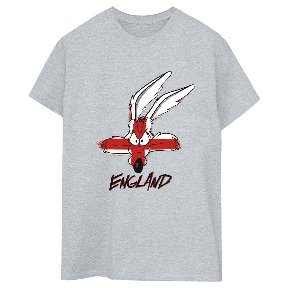 Vêtements Femme T-shirts manches longues Dessins Animés Coyote England Face Gris