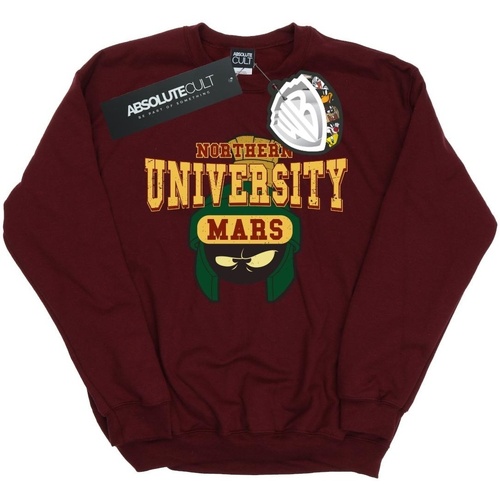 Vêtements Homme Sweats Dessins Animés Northern University Of Mars Multicolore