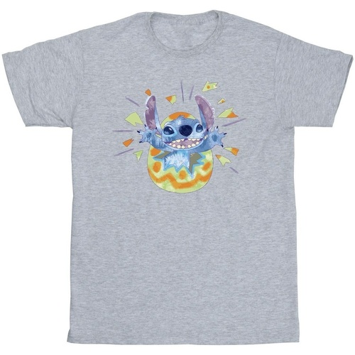 Vêtements Homme T-shirts manches longues Disney Lilo & Stitch Cracking Egg Gris
