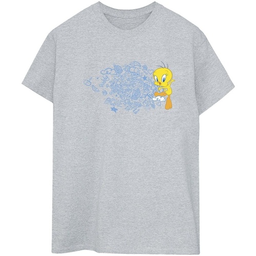 Vêtements Femme T-shirts manches longues Dessins Animés ACME Doodles Tweety Gris