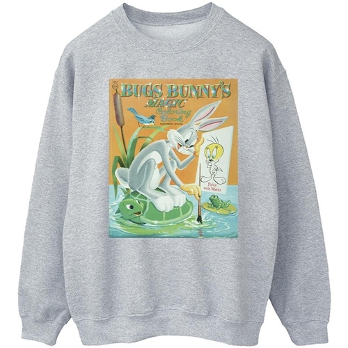 Vêtements Homme Sweats Dessins Animés Bugs Bunny Colouring Book Gris