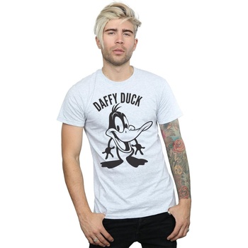 Vêtements Homme T-shirts manches longues Dessins Animés Daffy Duck Large Head Gris