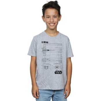 Vêtements Garçon T-shirts manches courtes Disney X-Wing Blueprint Gris