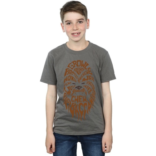 Vêtements Garçon T-shirts manches courtes Disney Chewbacca Text Head Multicolore