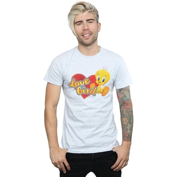 Vêtements Homme T-shirts manches longues Dessins Animés Tweety Pie Valentine's Day Love Bird Gris