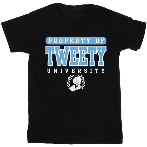 Vêtements Homme T-shirts manches longues Dessins Animés Tweety Property Of University Noir