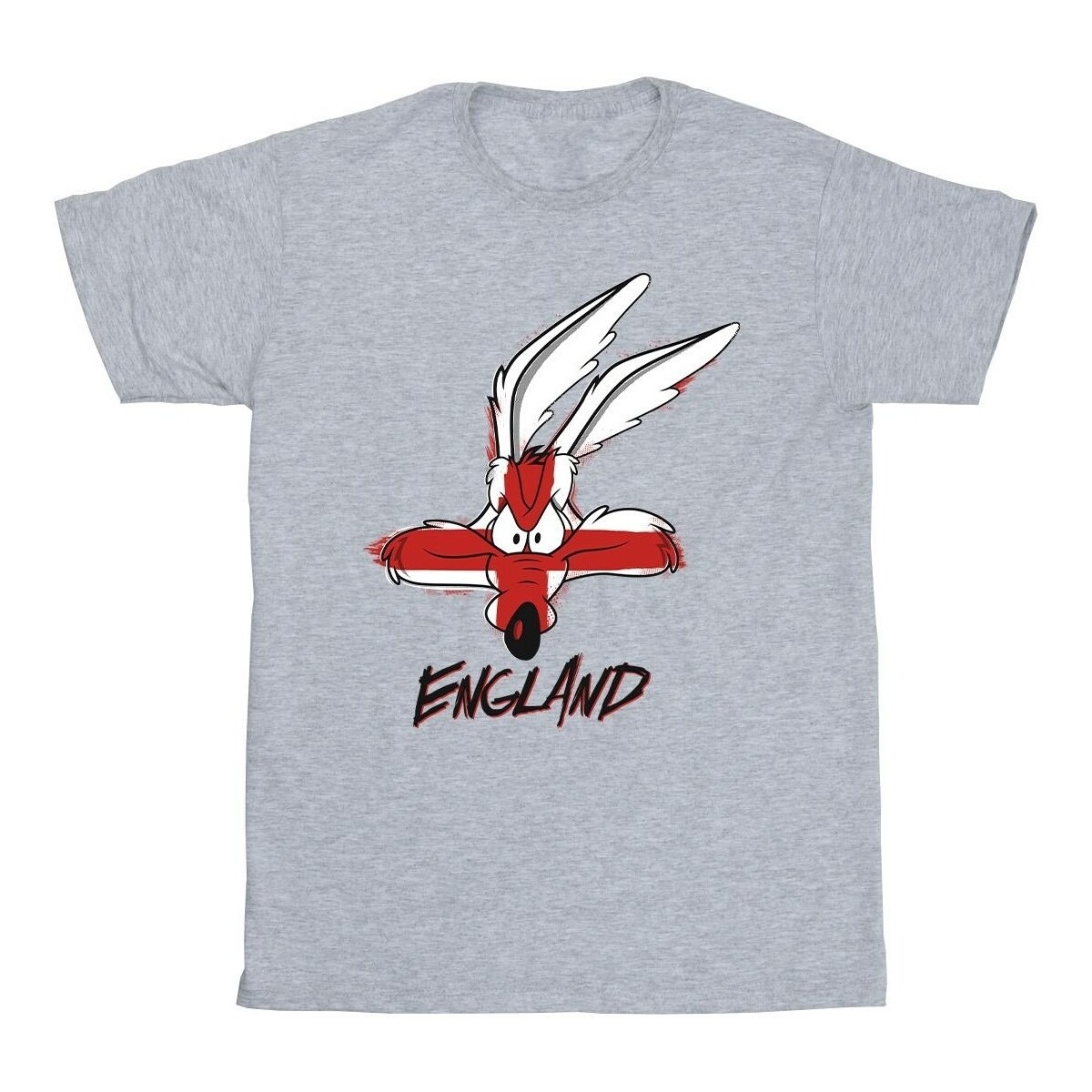 Vêtements Homme T-shirts manches longues Dessins Animés Coyote England Face Gris