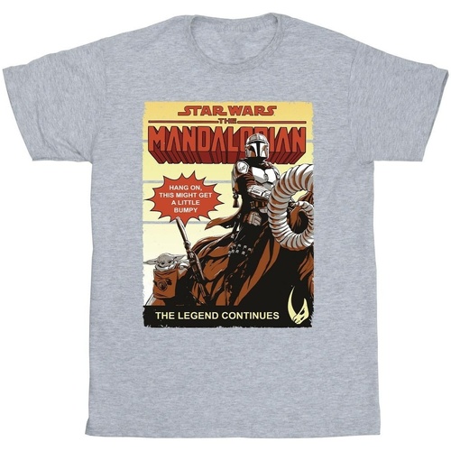 Vêtements Garçon T-shirts manches courtes Star Wars The Mandalorian Bumpy Ride Gris