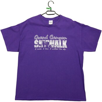 Vêtements Homme Tops / Blouses Gildan T-shirt  Grand Canyon Skywalk Violet