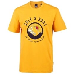 Vêtements Homme T-shirts & Polos Only & Sons  TEE-SHIRT ONLY JAUNE - MANGO MOJITO - XL Multicolore