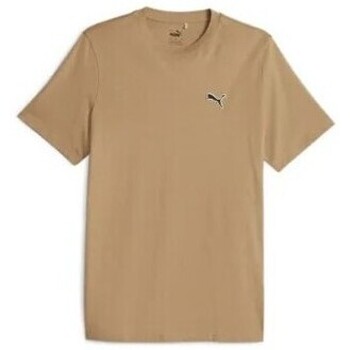 Vêtements Homme T-shirts & Polos Tee Puma TEE SHIRT  MARRON - TOASTED - M Multicolore