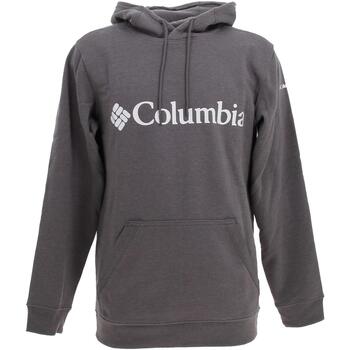 Vêtements Homme Sweats Columbia Csc basic logo ii hoodie Gris
