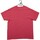 Vêtements Homme T-shirts manches courtes Pro Weight T-shirt  Yellowstone National Park Rouge