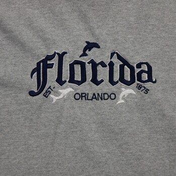 Anvil T-shirt  Florida Orlando Gris