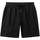 Vêtements Homme Shorts / Bermudas Quiksilver Salt Water Noir