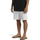 Vêtements Homme Shorts / Bermudas Quiksilver Salt Water Gris