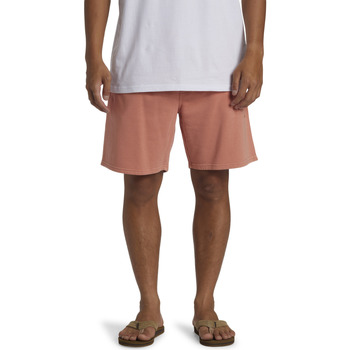 Vêtements Homme canal Shorts / Bermudas Quiksilver Salt Water Rose