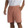 Vêtements Homme Calcas Shorts / Bermudas Quiksilver Salt Water Rose