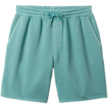 Vêtements Homme canal Shorts / Bermudas Quiksilver Salt Water Bleu