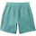 Vêtements Homme Shorts / Bermudas Quiksilver Salt Water Bleu