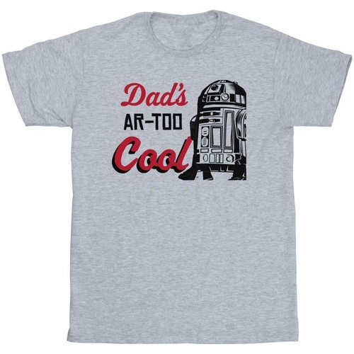 Vêtements Homme T-shirts manches longues Disney Dads R2 Cool Gris
