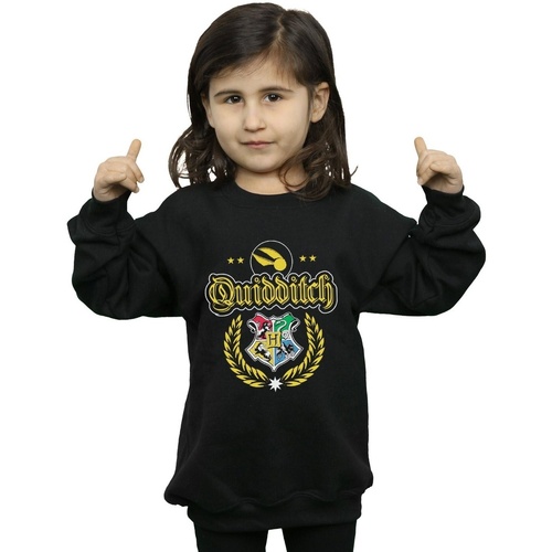 Vêtements Fille Sweats Harry Potter Quidditch Crest Noir