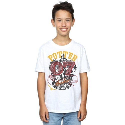 Vêtements Garçon T-shirts manches courtes Harry Potter BI47944 Blanc