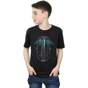 Vêtements Garçon T-shirts manches courtes Harry Potter BI47962 Noir