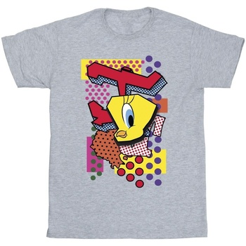 Vêtements Garçon T-shirts manches courtes Dessins Animés Tweety Pop Art Gris
