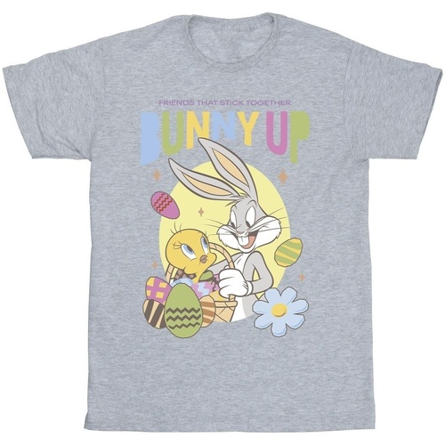 Vêtements Garçon T-shirts manches courtes Dessins Animés Bunny Up Gris