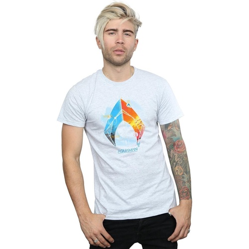 Vêtements Homme T-shirts manches longues Dc Comics Aquaman Tropical Logo Gris
