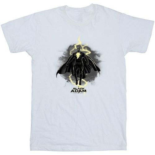 Vêtements Homme T-shirts manches longues Dc Comics Black Adam Hovering Bolt Blanc