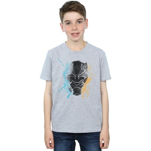 Vêtements Garçon T-shirts manches courtes Marvel Black Panther Splash Gris
