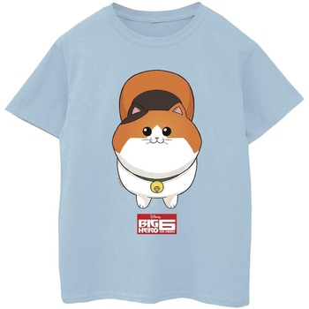 Vêtements Garçon T-shirts & Polos Disney Big Hero 6 Baymax Kitten Face Bleu