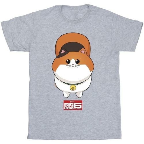 Vêtements Garçon T-shirts manches courtes Disney Big Hero 6 Baymax Kitten Face Gris