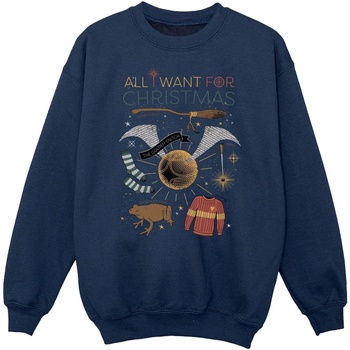 Vêtements Garçon Sweats Harry Potter All I Want For Christmas Bleu