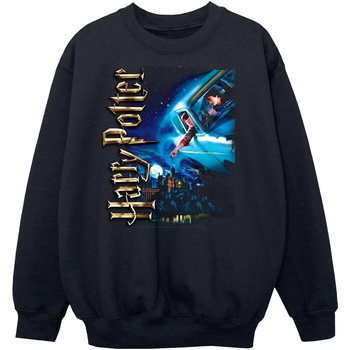 Vêtements Garçon Sweats Harry Potter Smiles At Hogwarts Noir